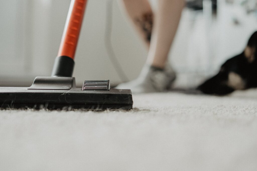 Top-tier carpet cleaning in Allen, TX